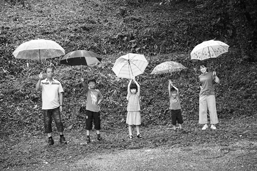 写真企画「小鳥の家族」