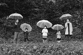 写真企画「小鳥の家族」